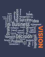 Our Vision