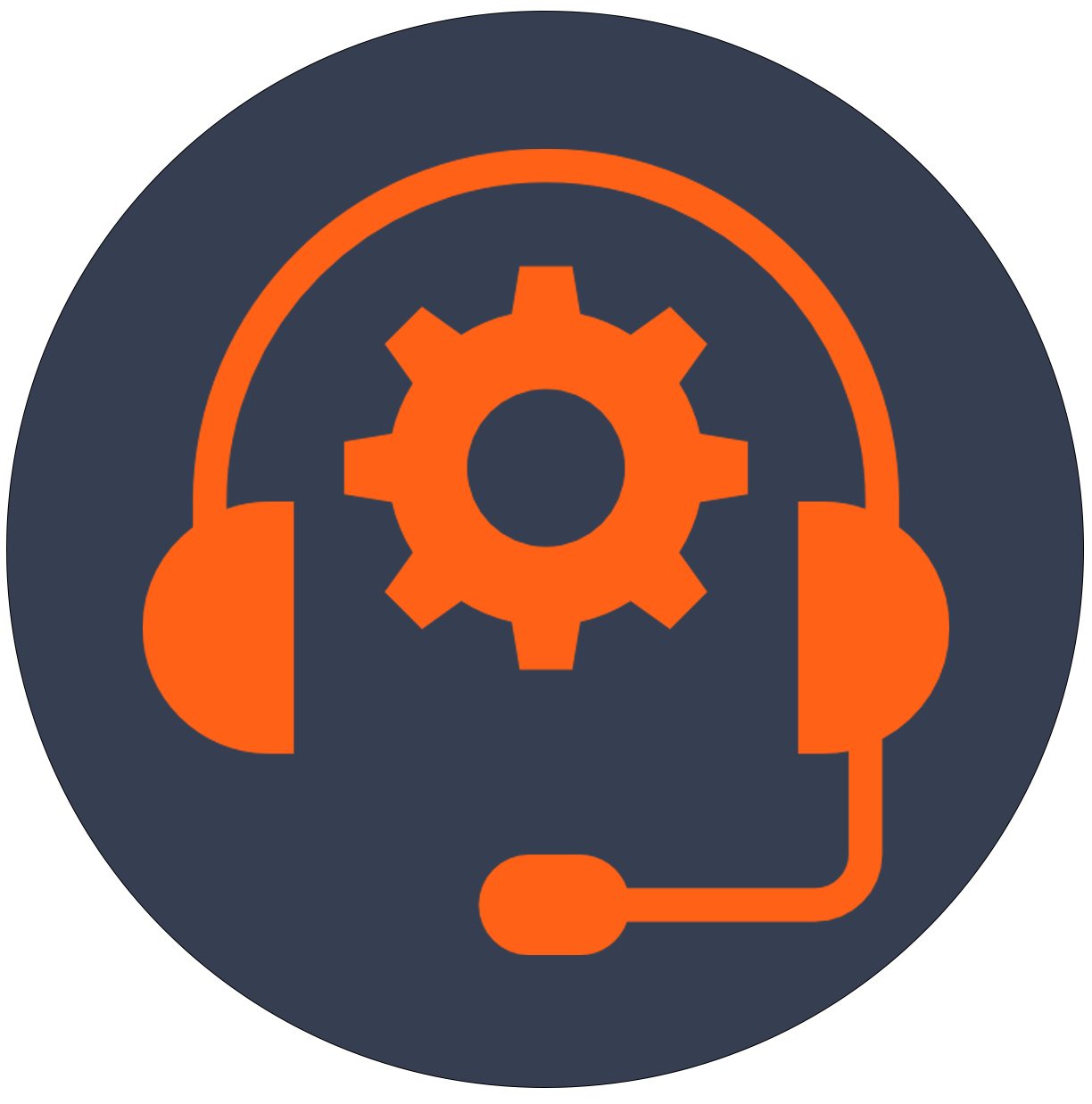Maintenance and Support